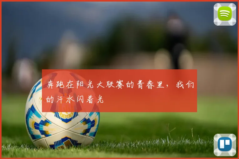 奔跑在阳光大联赛的青春里，我们的汗水闪着光